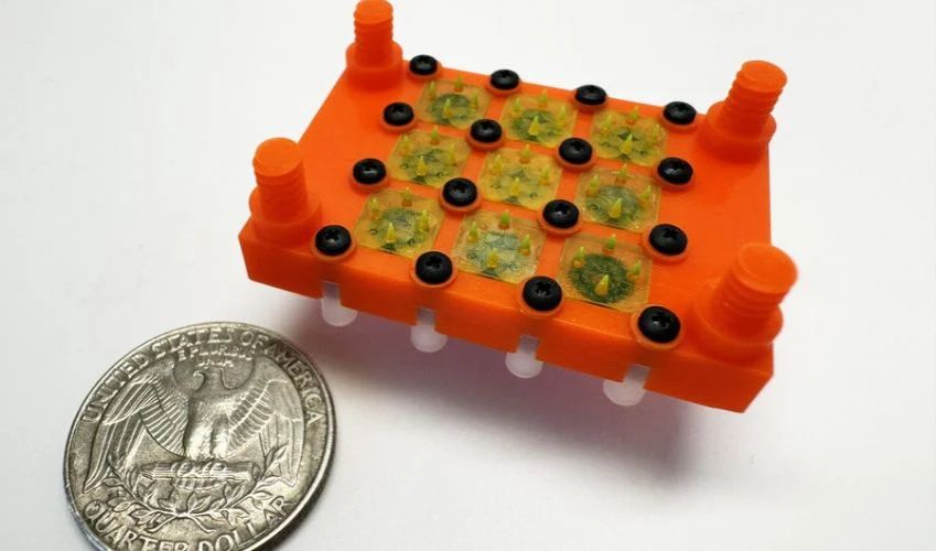electrospray engine