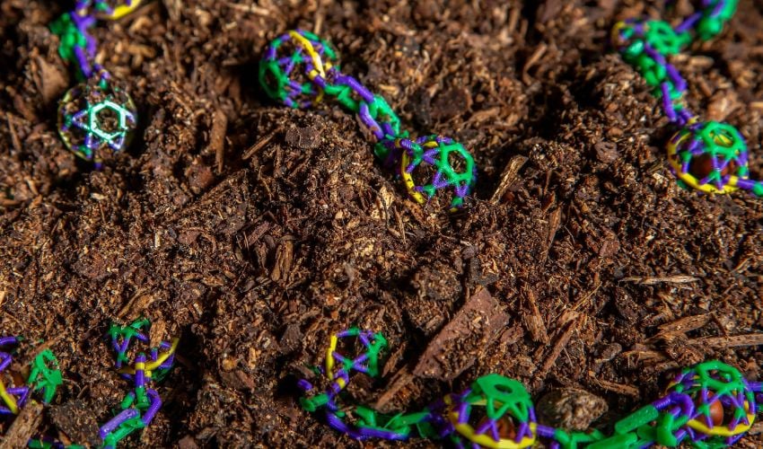 3D printed biodegradable beads for Mardi Gras