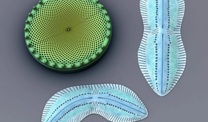 Ultra-Strong Material Made Using 3D Printing