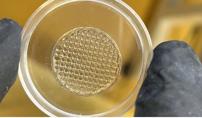 3D Printed Skin