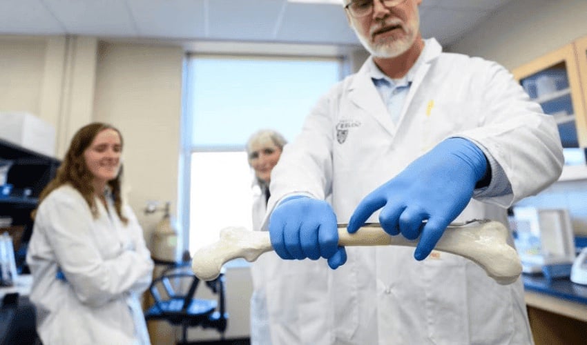 3D printing bone grafts