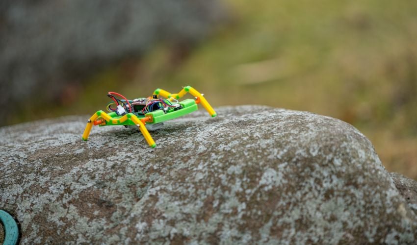 swarm robotics 3D printing