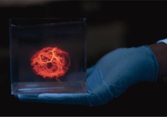 3d printed blood vessels