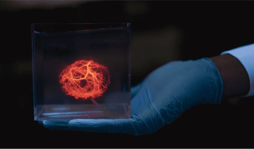 3d printed blood vessels