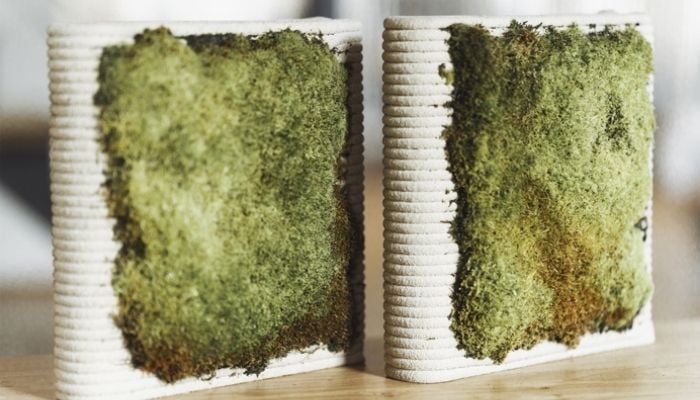 3D printing greenery