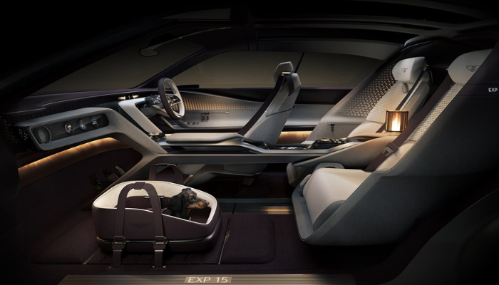 Bentley sought to combine both practicality with inclusion of space for pets in the EXP 15