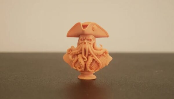 3D Print Octopus Pirate