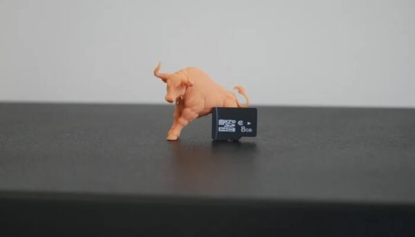 3D Print Bull