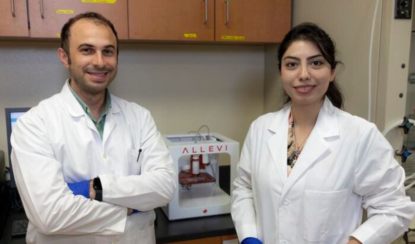 Ali Ubeyitogullari (left) and Sorour Barekat (right) have developed a new 3D printable “bioink” using sorghum proteins.