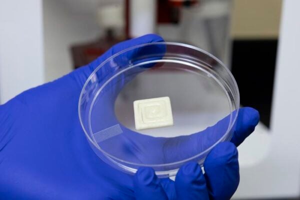 Sorghum proteins were utilized to create a hydrophobic bioink