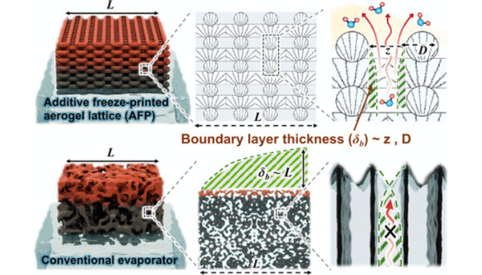 Credit: ACS Energy Letters, Xiaomeng Zhao, Yunfei Yang, Xuemin Yin, Zhuo Luo, Kit-Ying Chan, Xi Shen