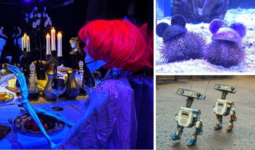 3D Projects in Theme Parks