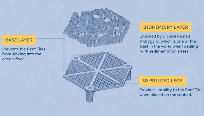The biomimicry layer sits on top of 3D printed legs that prevent the tiles from sinking into sand. (Photo Credit: Archireef)