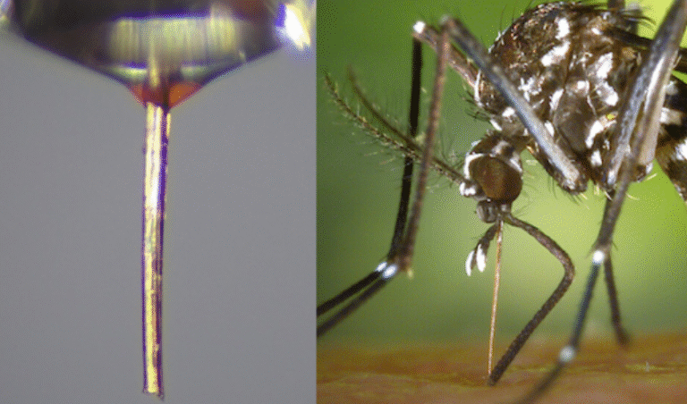 Mosquito Proboscis Repurposed as a Micro Nozzle for High Resolution 3D ...