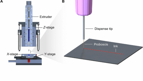 Mosquito Proboscis Repurposed as a Micro Nozzle for High Resolution 3D ...