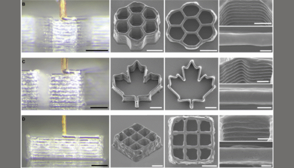 Mosquito Proboscis Repurposed as a Micro Nozzle for High Resolution 3D ...