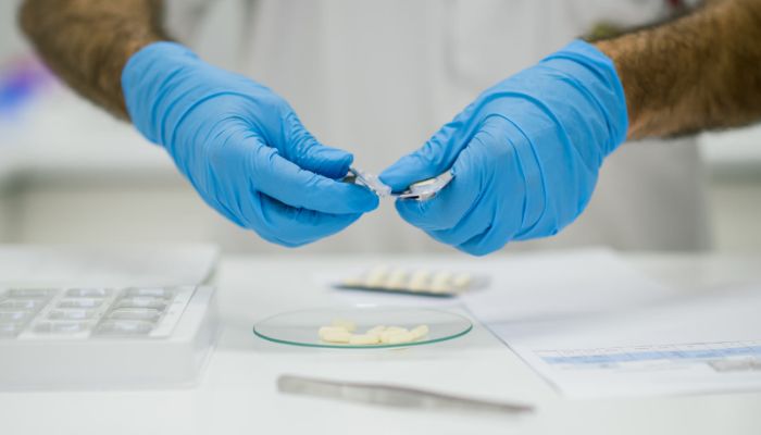 (Photo Credit: Adobe Stock)