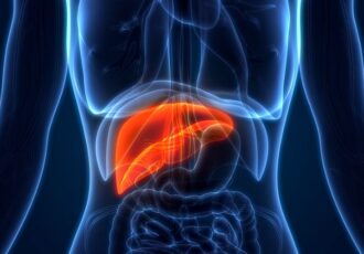 bioprinted liver tissue