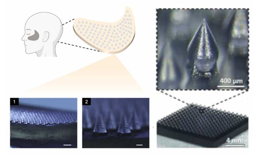 polysaccharide microneedle