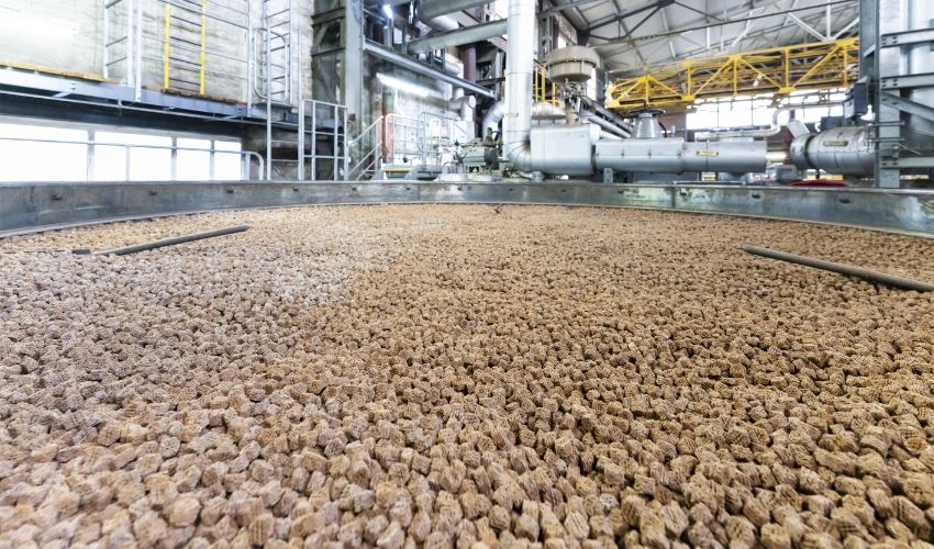 BASF 3d printed catalysts