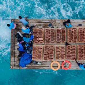 rrreefs