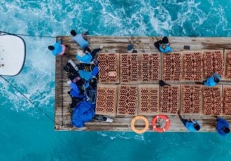 rrreefs