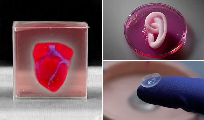 Some 3D printed organs