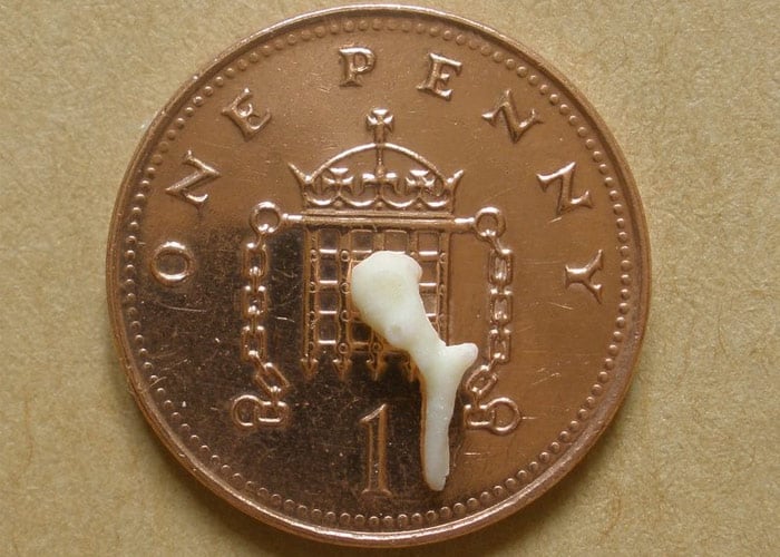 3D printed implants