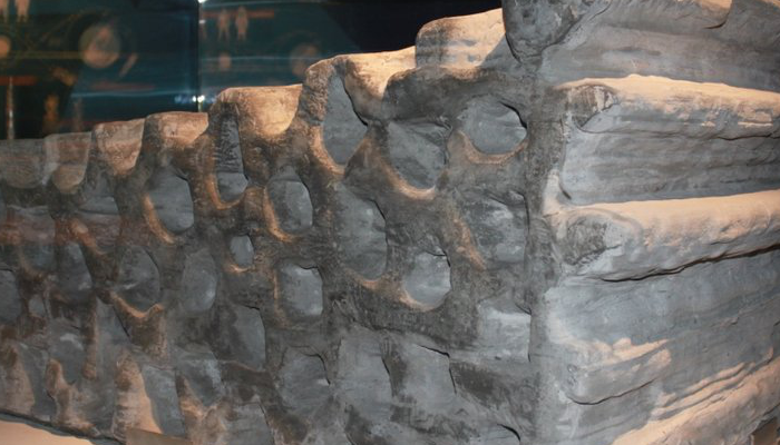 top 10 3d printed space