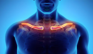 clavicle 3dnatives carlota