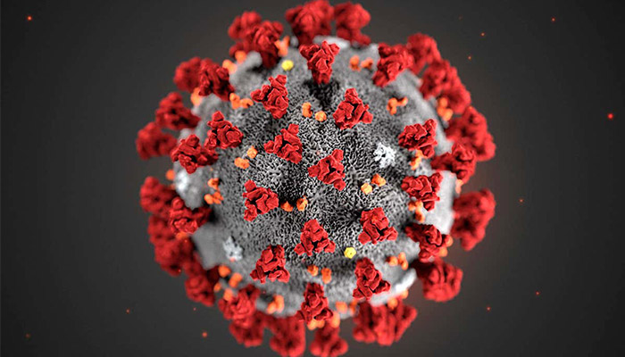 COVID-19 vaccine testing