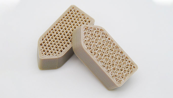 3D printed porous scaffold