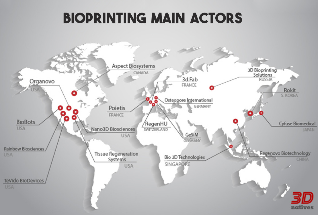 3D bioprinting