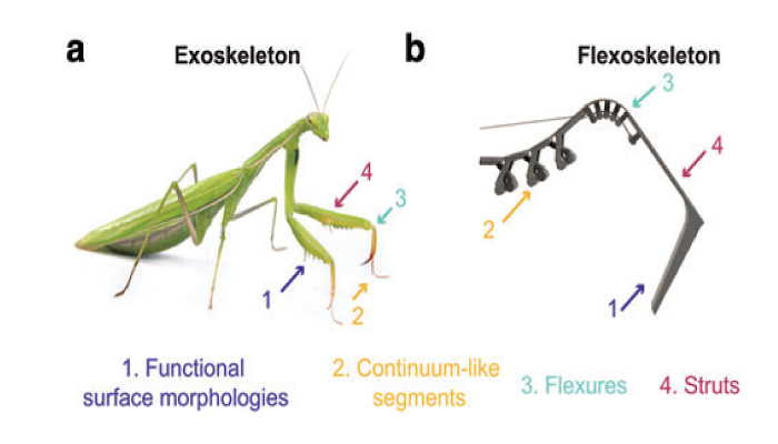 3D printed insect-like robots