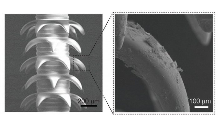 4d printed micro needles