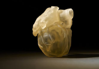 digital anatomy 3d printer