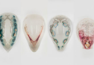 hybrid living materials