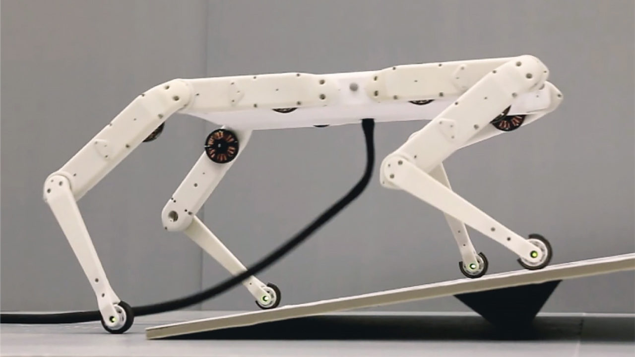 Solo 8, an affordable robot dog? - 3Dnatives