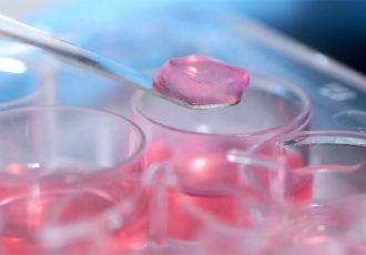 biogelx
