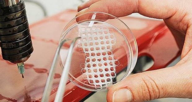 3D bioprinting 