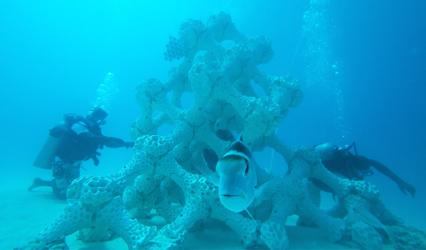 3D printed coral reef