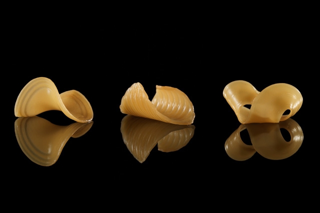 shape-shifting pasta