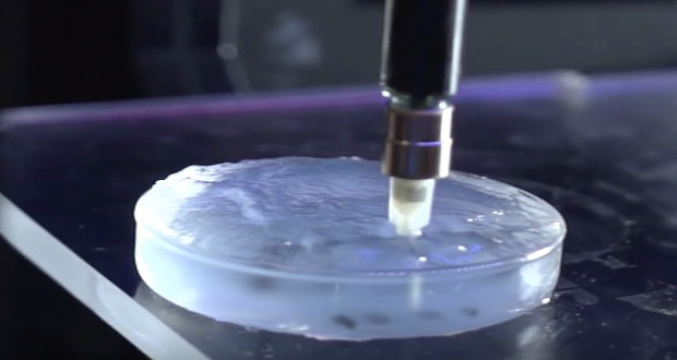 3D bioprinted human cartilage