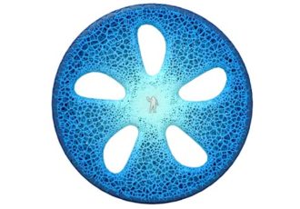 Michelin
