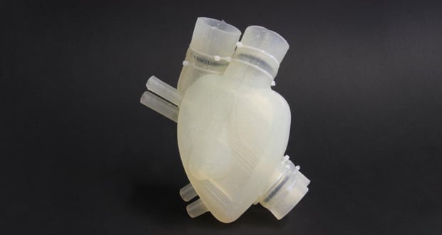 3D printed heart