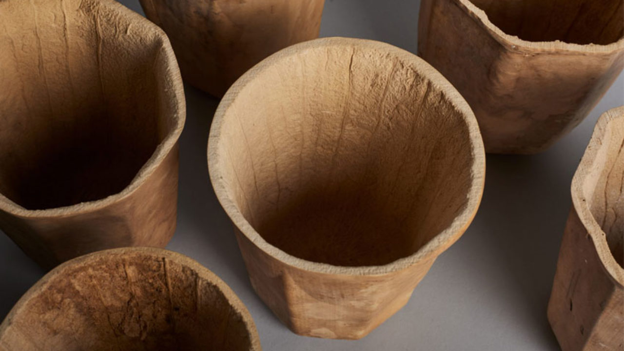 HyO-Cups; vegetable cups designed with 3D printing - 3Dnatives