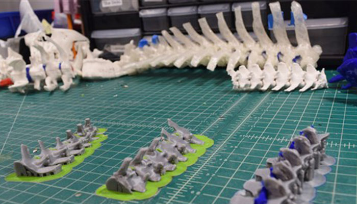 surgical models for pets