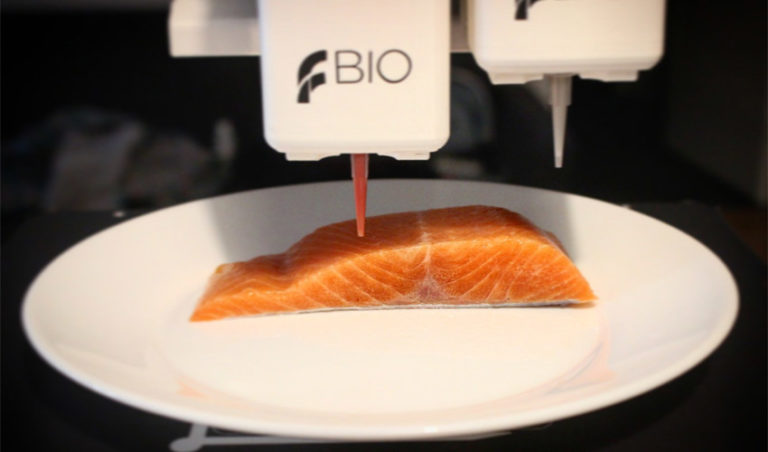 3d printed fish