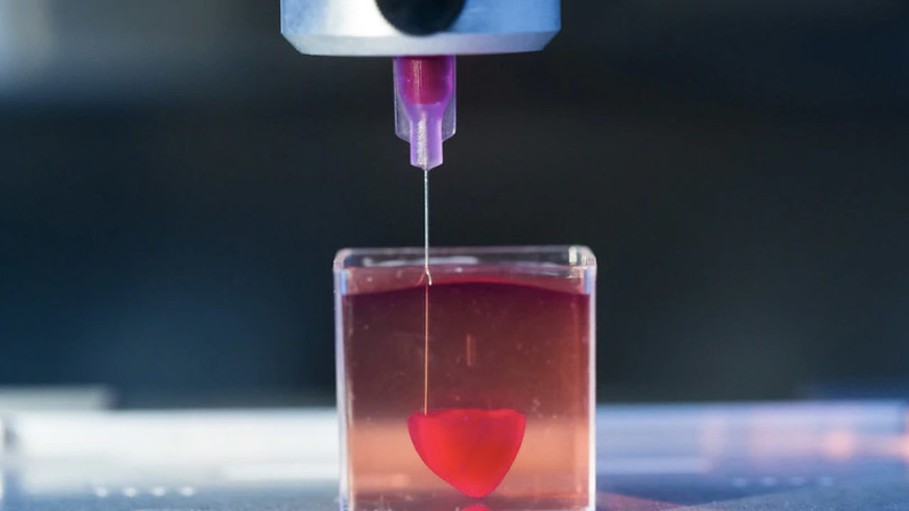 Researchers 3D print a heart with human tissue and blood vessels - 3Dnatives