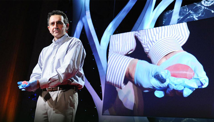 3d printed organ